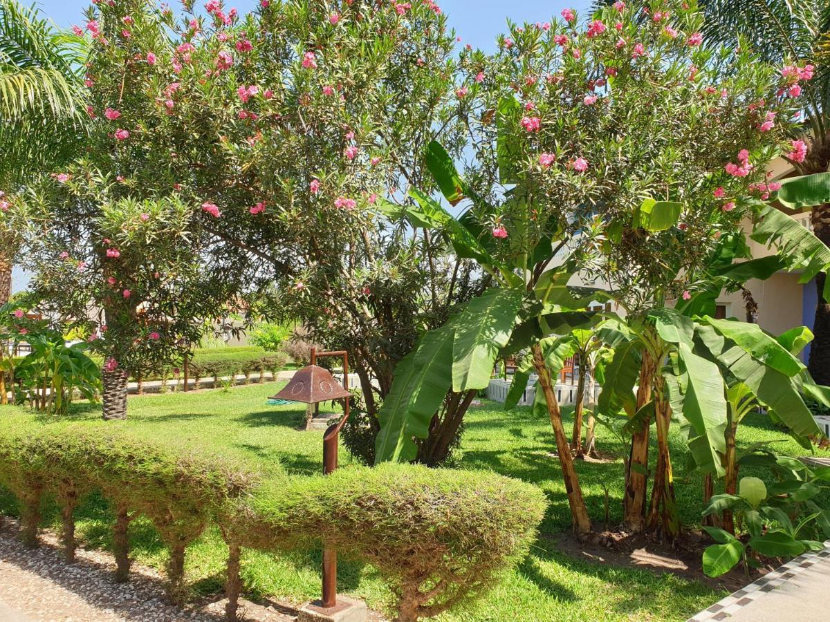 Djeliba Resort Серекунда Экстерьер фото